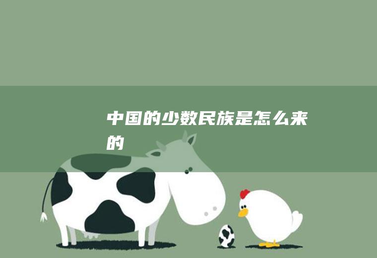 中国的少数民族是怎么来的