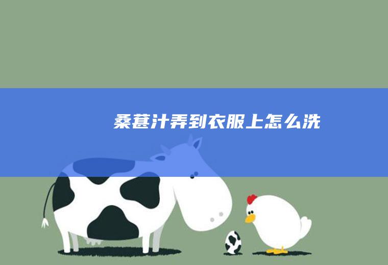桑葚汁弄到衣服上怎么洗