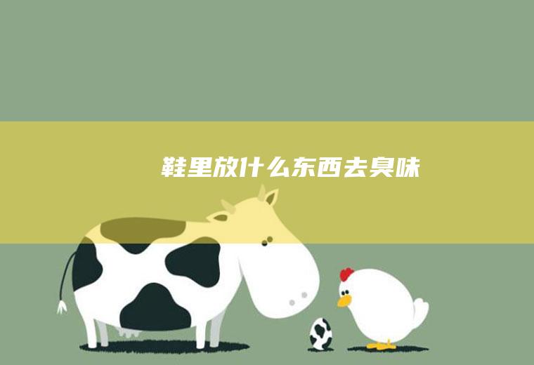 鞋里放什么东西去臭味