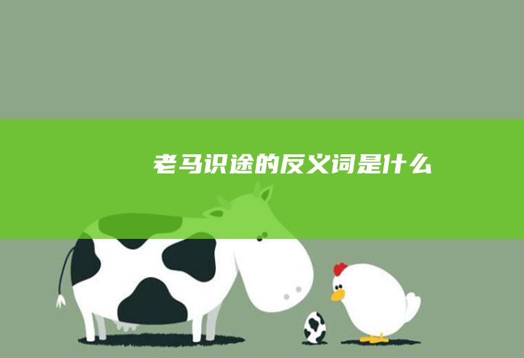 老马识途的反义词是什么