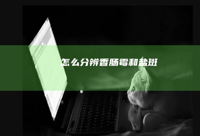 怎么分辨香肠霉和盐斑