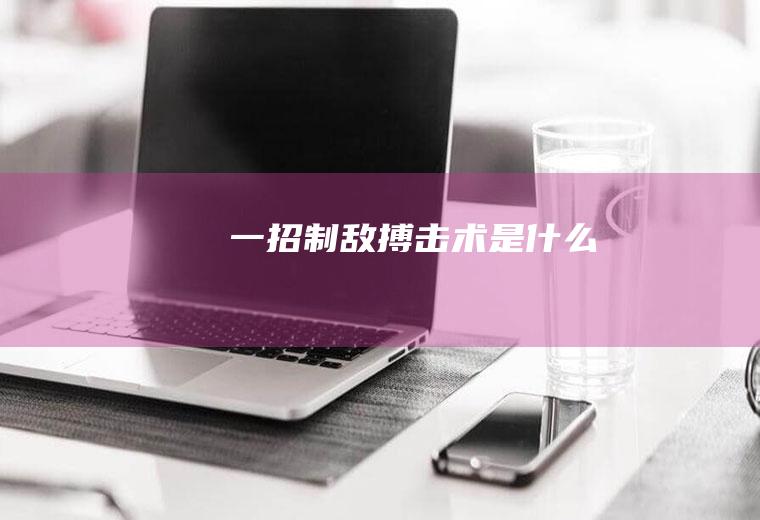 一招制敌搏击术是什么
