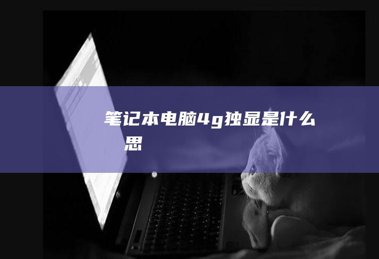 笔记本电脑4g独显是什么意思