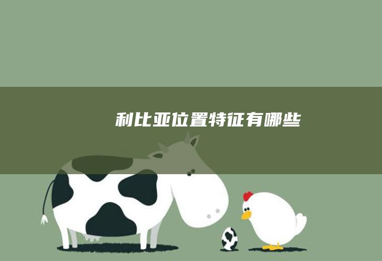 利比亚位置特征有哪些