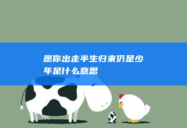 愿你出走半生归来仍是少年是什么意思