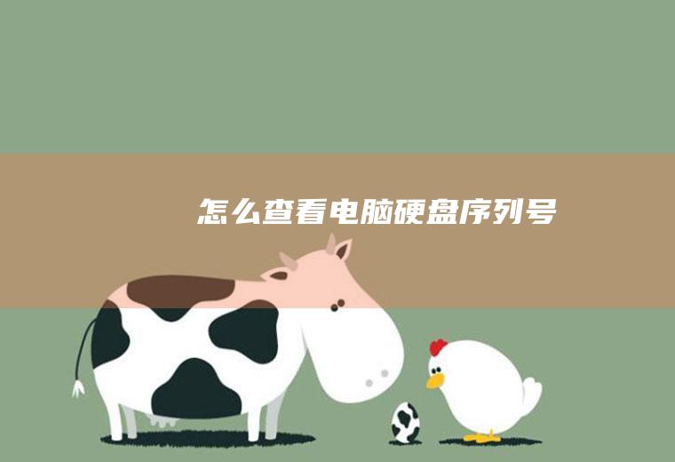 怎么查看电脑硬盘序列号