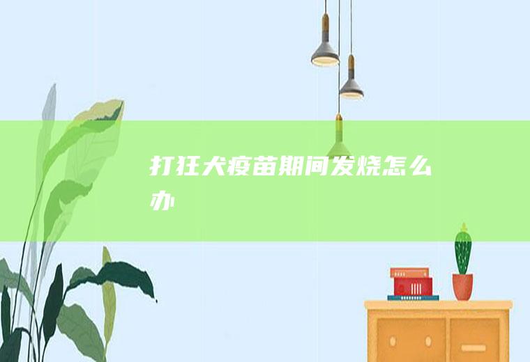 打狂犬疫苗期间发烧怎么办