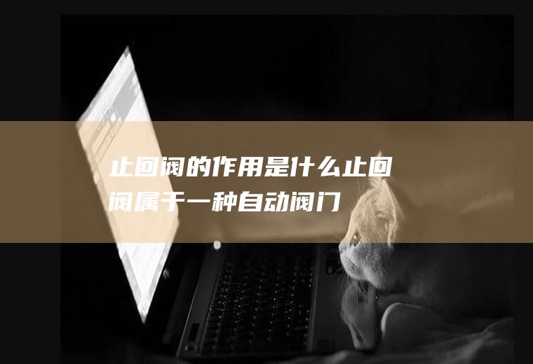 止回阀的作用是什么(止回阀属于一种自动阀门)