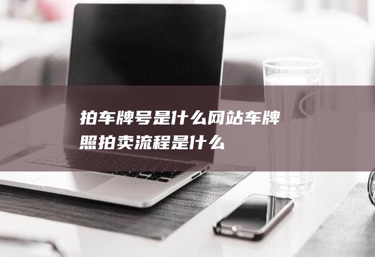 拍车牌号是什么网站(车牌照拍卖流程是什么)