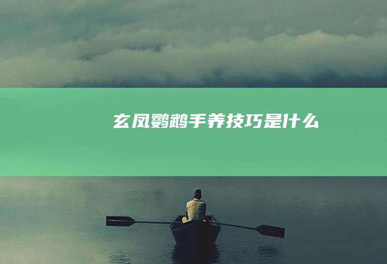 玄凤鹦鹉手养技巧是什么