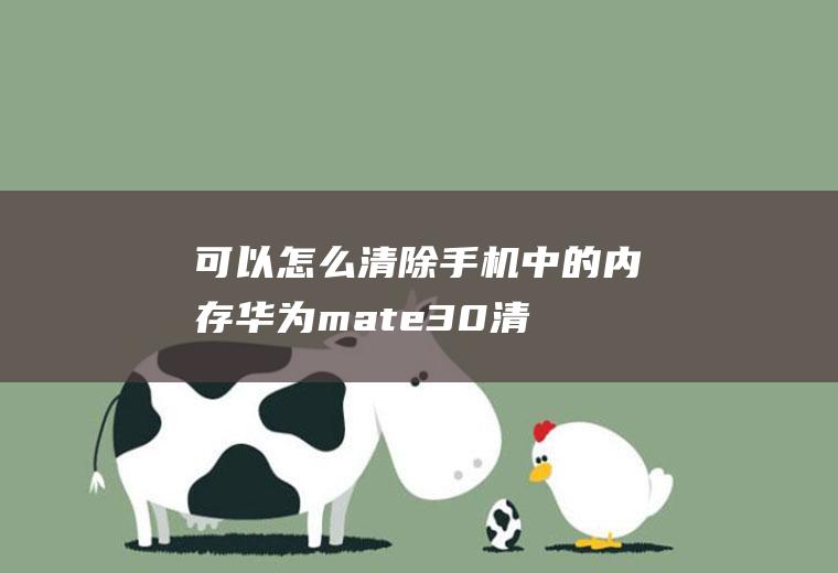 可以怎么清除手机中的内存(华为mate30清理手机内存方法)