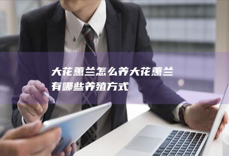 大花蕙兰怎么养(大花蕙兰有哪些养殖方式)