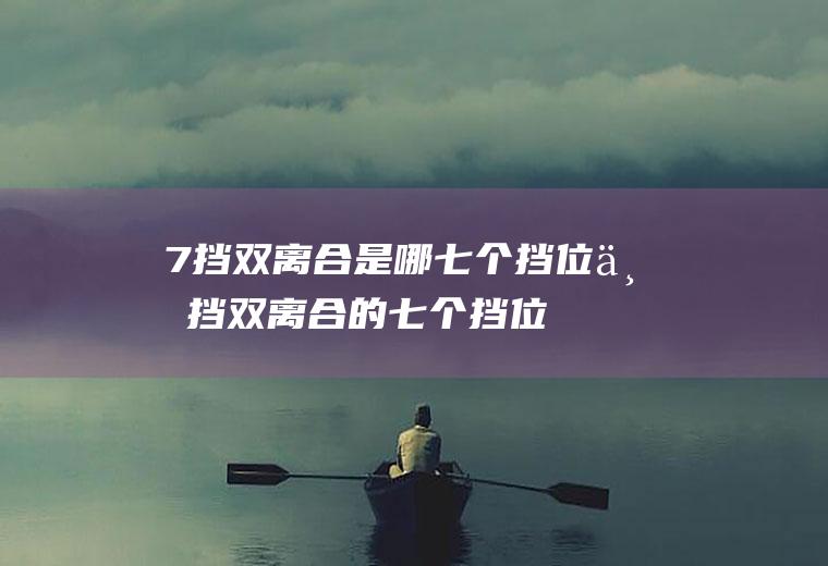 7挡双离合是哪七个挡位(七挡双离合的七个挡位)
