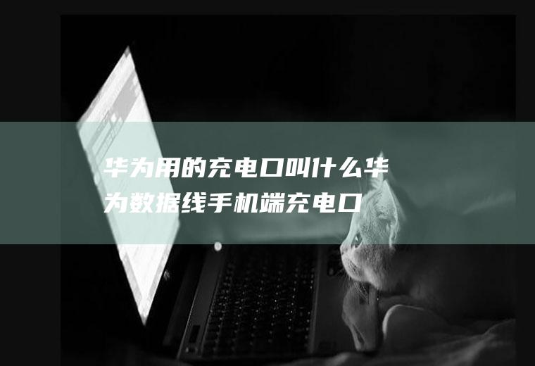华为用的充电口叫什么(华为数据线手机端充电口叫什么)