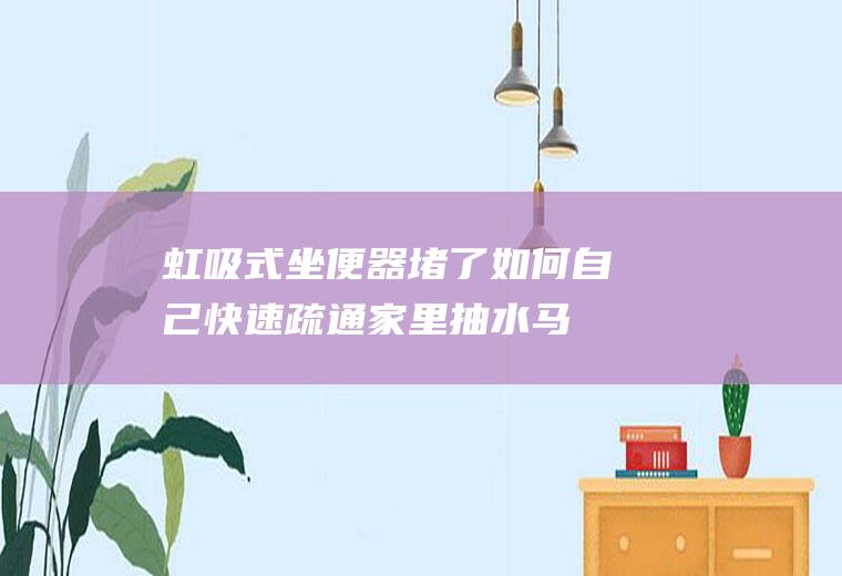 虹吸式坐便器堵了如何自己快速疏通(家里抽水马桶堵了怎么办)