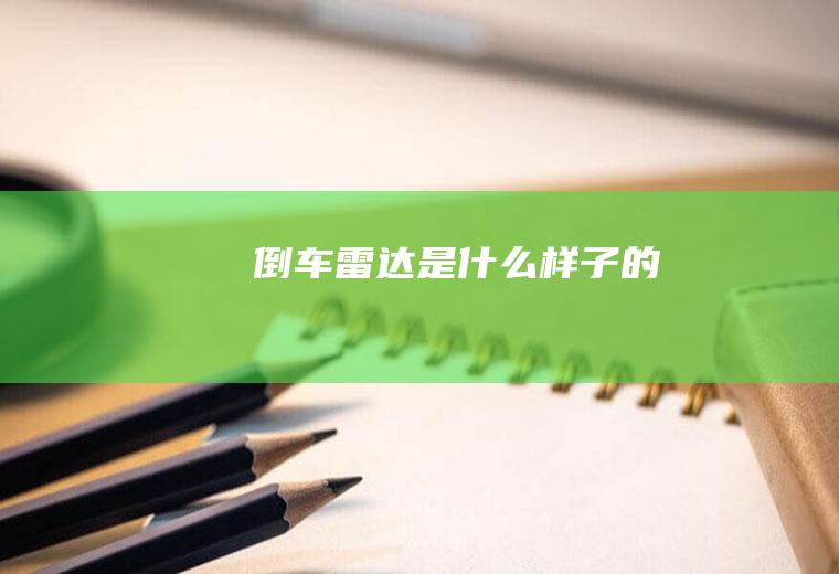倒车雷达是什么样子的