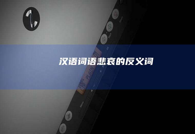 汉语词语:悲哀的反义词