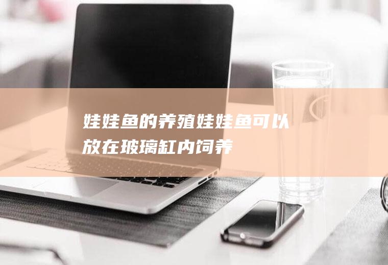 娃娃鱼的养殖(娃娃鱼可以放在玻璃缸内饲养)