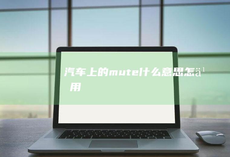 汽车上的mute什么意思怎么用