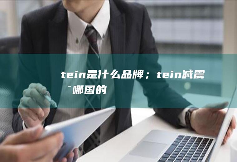 tein是什么品牌；tein减震是哪国的