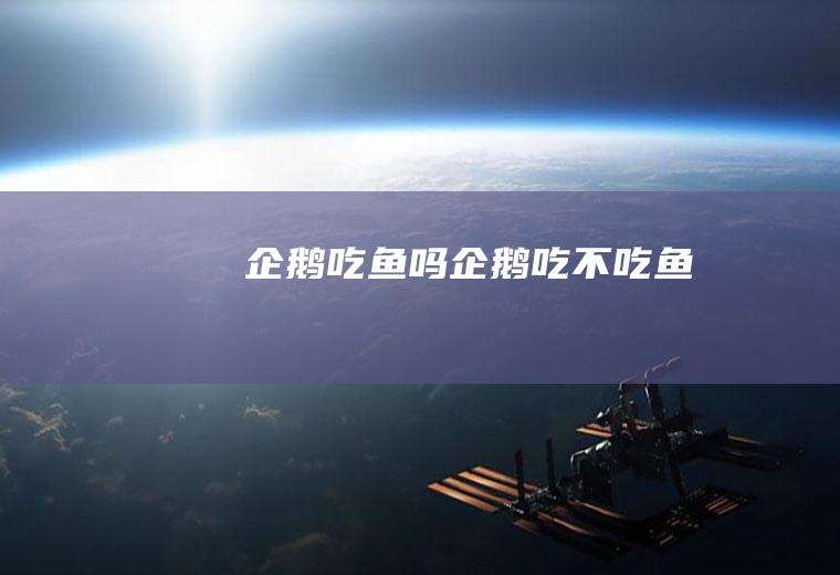 企鹅吗企鹅吃不