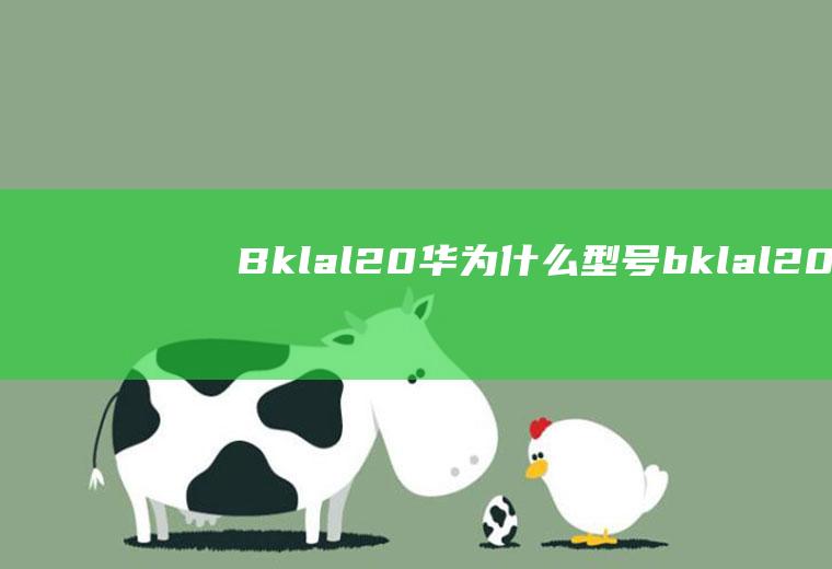 Bklal20华为什么型号(bklal20华为是什么型号的手机)