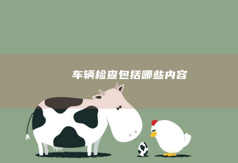 车辆检查包括哪些内容