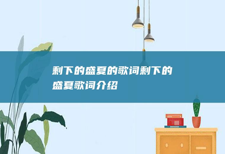 剩下的盛夏的歌词(《剩下的盛夏》歌词介绍)