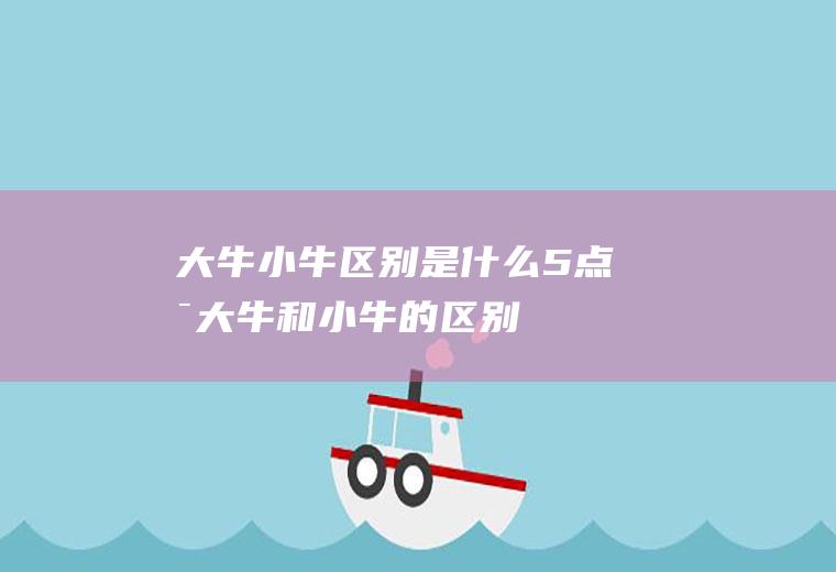 大牛小牛区别是什么(5点是大牛和小牛的区别)