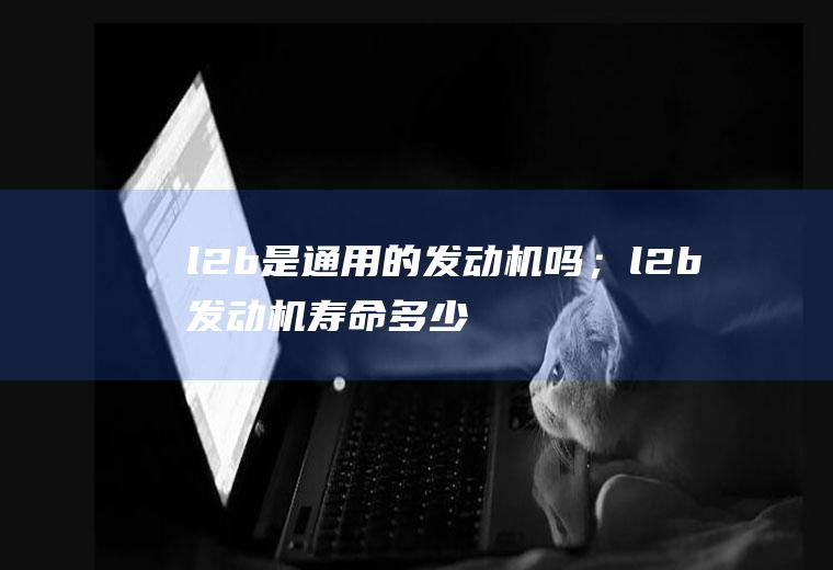 l2b是通用的发动机吗；l2b发动机寿命多少公里
