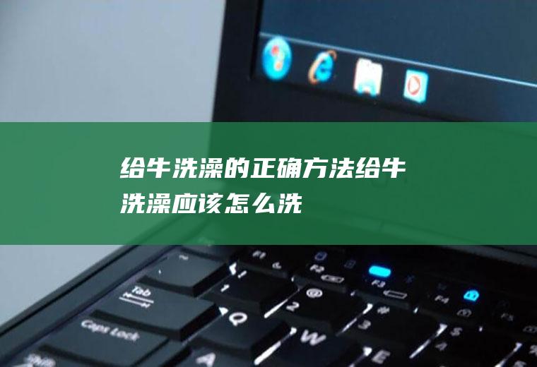 给牛洗澡的正确方法给牛洗澡应该怎么洗