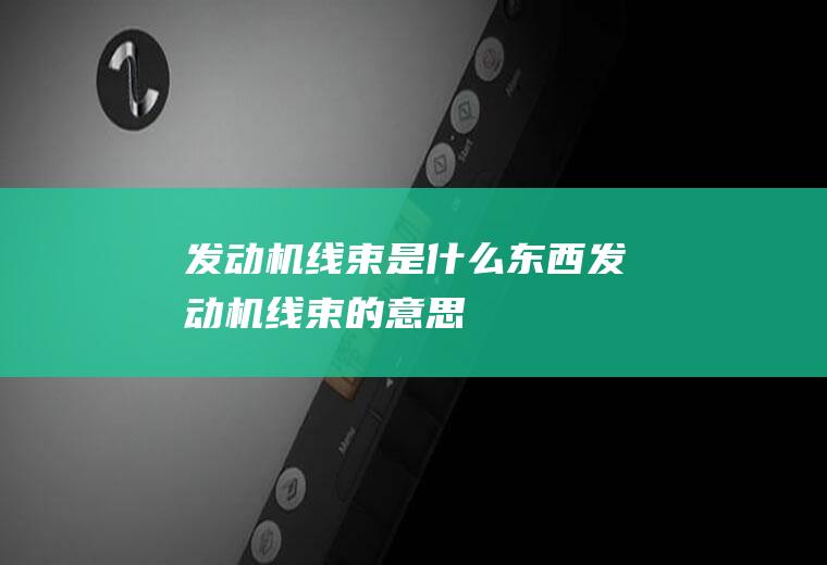 发动机线束是什么东西(发动机线束的意思)