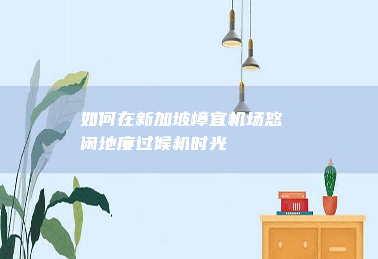 如何在新加坡樟宜机场悠闲地度过候机时光