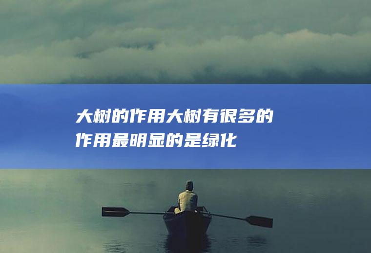 大树的作用(大树有很多的作用,最明显的是绿化作用)