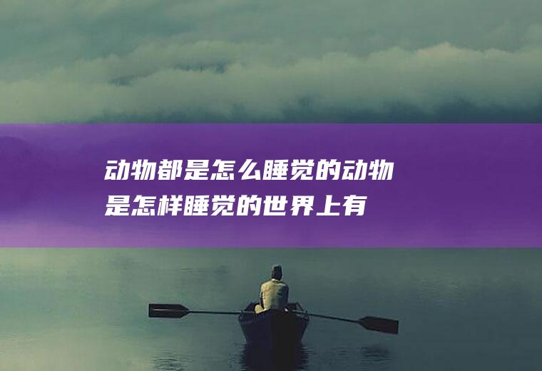 动物都是怎么睡觉的(动物是怎样睡觉的世界上有着各种各样的动物,不同动物有着不同)