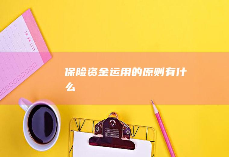 保险资金运用的原则有什么