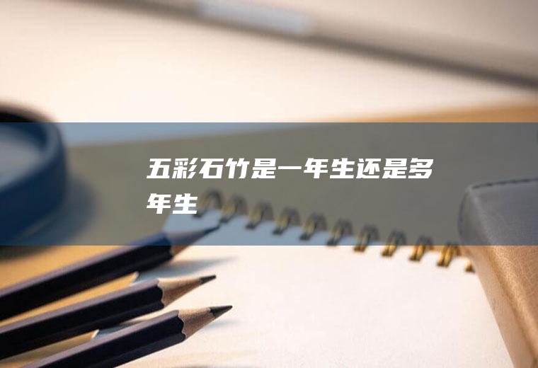 五彩石竹是一年生还是多年生