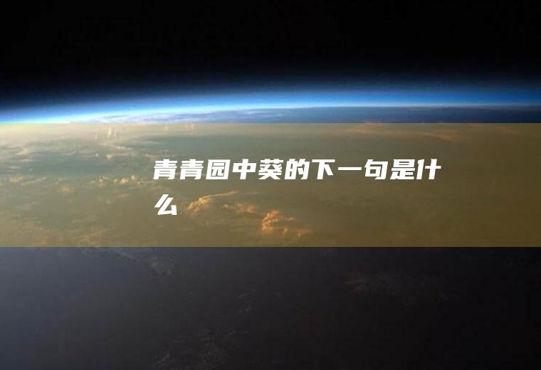 青青园中葵的下一句是什么