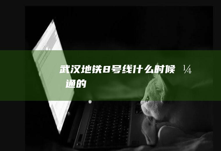 武汉地铁8号线什么时候开通的