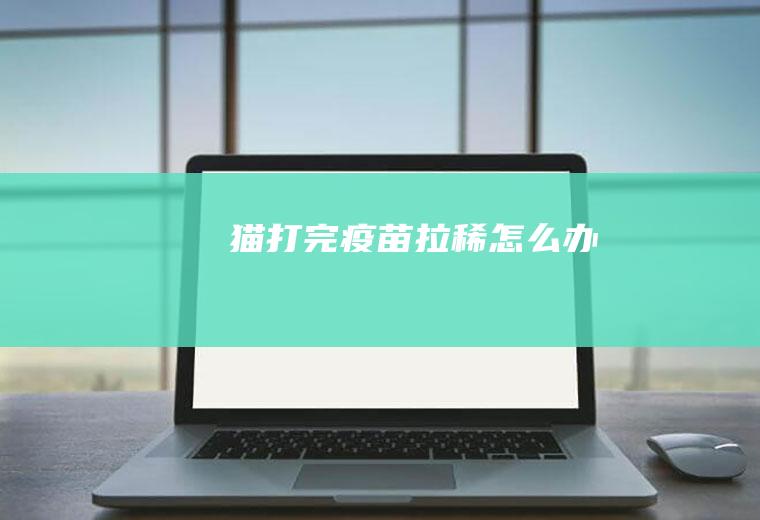 猫打完疫苗拉稀怎么办