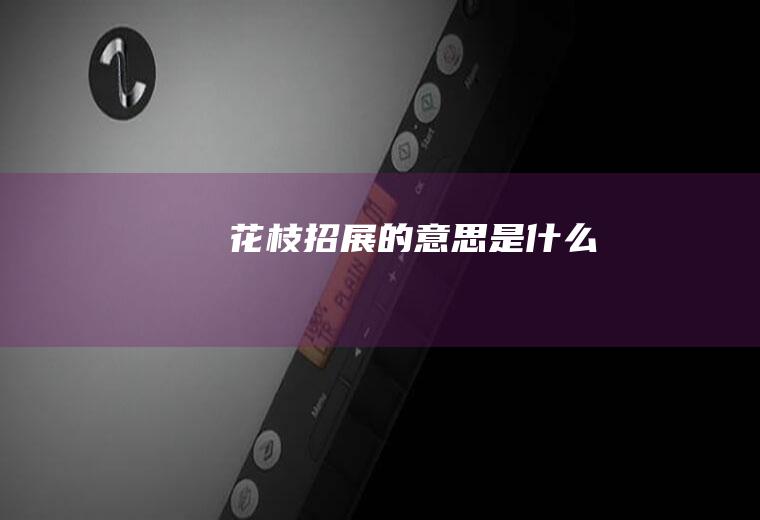 花枝招展的意思是什么