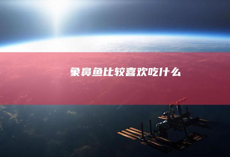 象鼻鱼比较喜欢吃什么