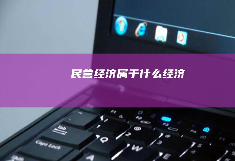 民营经济属于什么经济