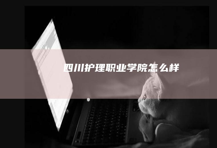 四川护理职业学院怎么样