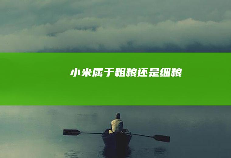 小米属于粗粮还是细粮
