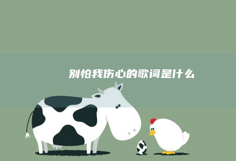 《别怕我伤心》的歌词是什么