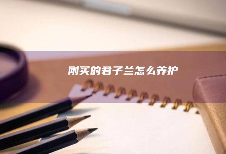 刚买的君子兰怎么养护