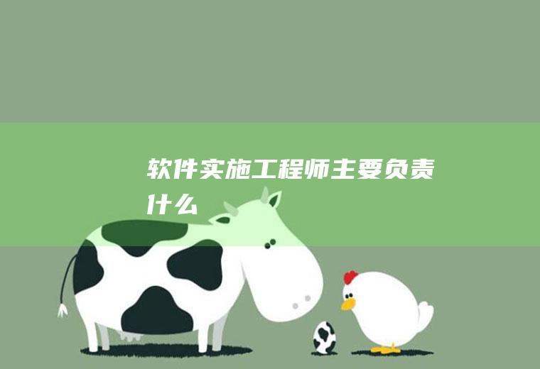 软件实施工程师主要负责什么