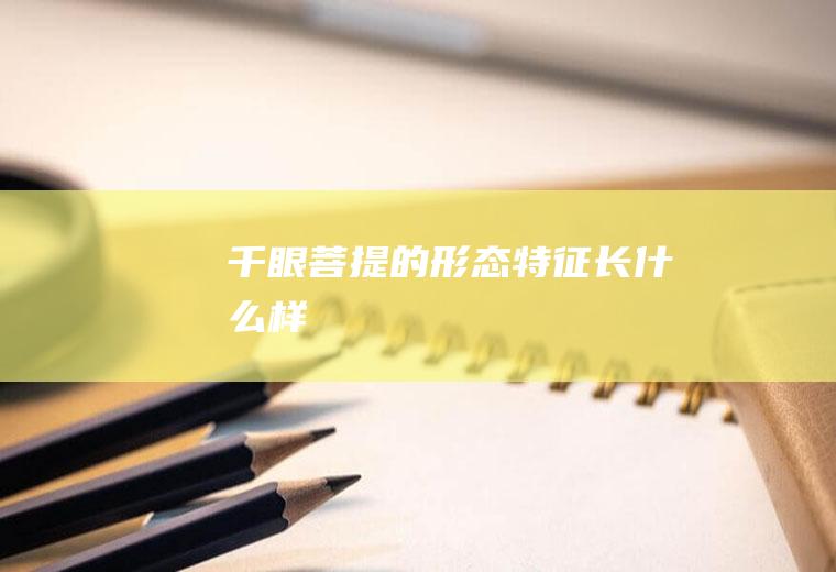 千眼菩提的形态特征长什么样