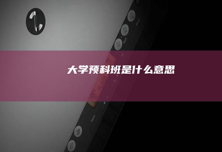 大学预科班是什么意思